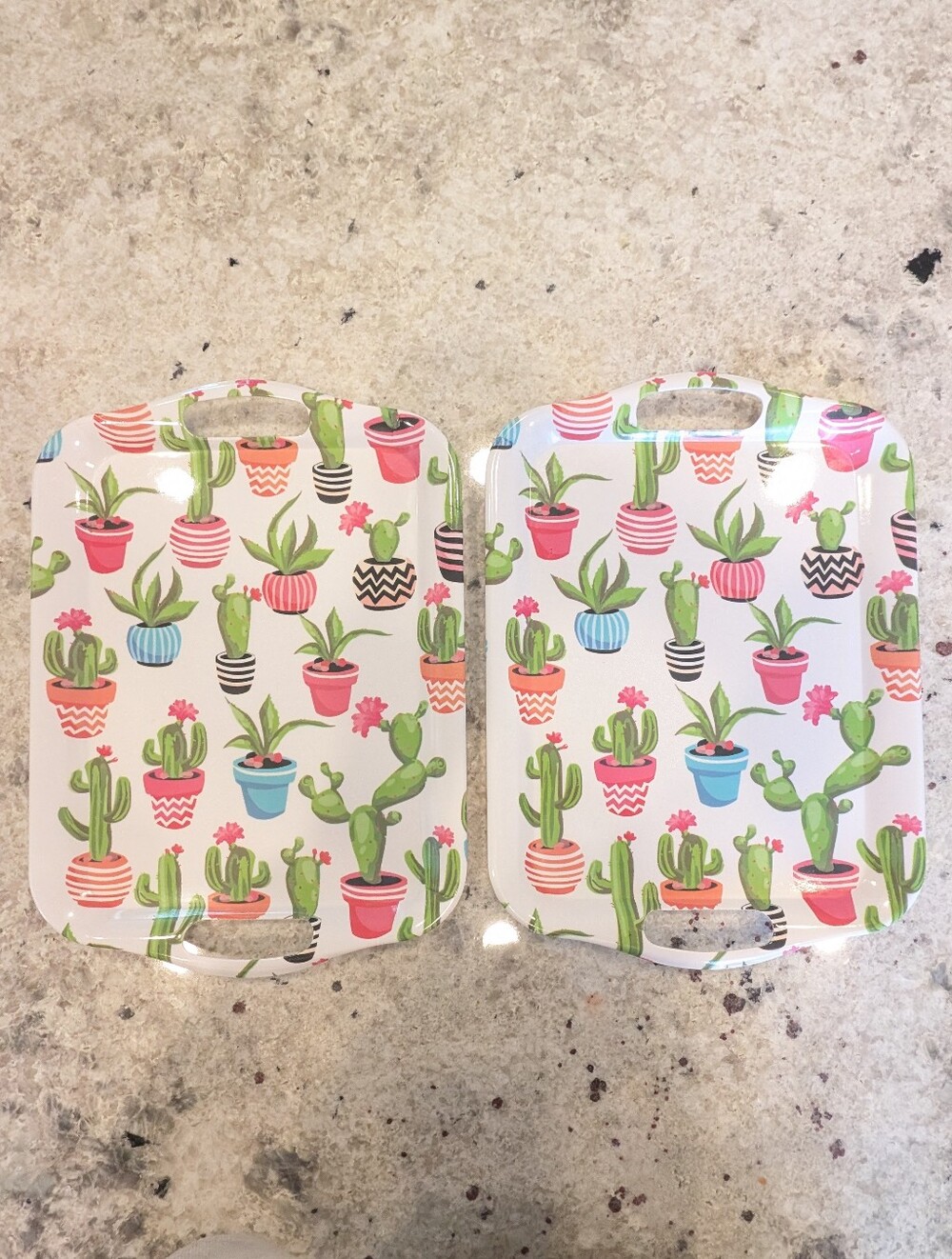Hobby Lobby Cactus Melamine Tray Set of 2
